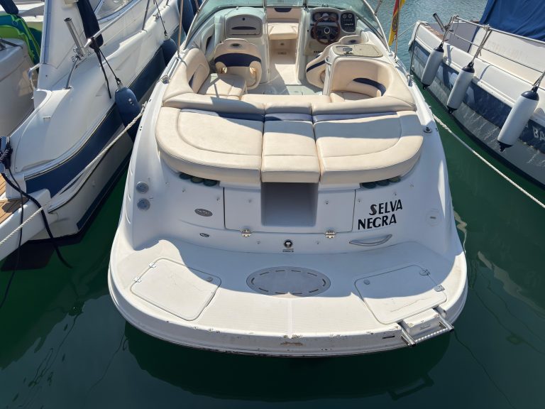 IMG-20250825-WA0004
