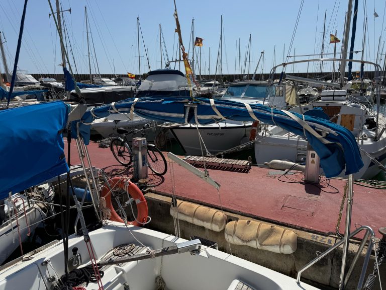 IMG-20250408-WA0118