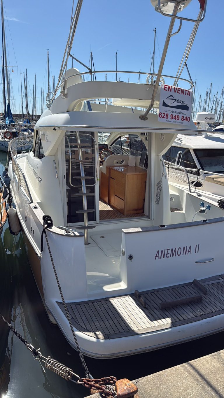 WhatsApp Image 2026-03-16 at 13.09.59