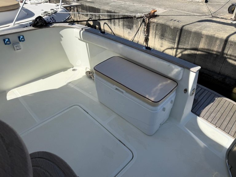 WhatsApp Image 2026-03-16 at 13.10.18