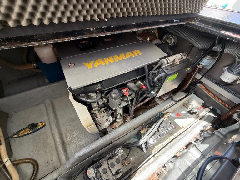 WhatsApp Image 2026-03-16 at 13.10.27 (2)