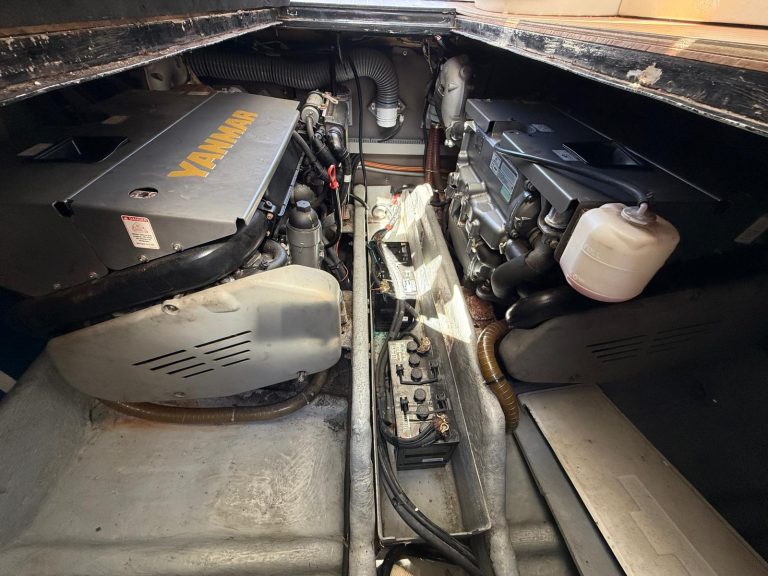 WhatsApp Image 2026-03-16 at 13.10.27