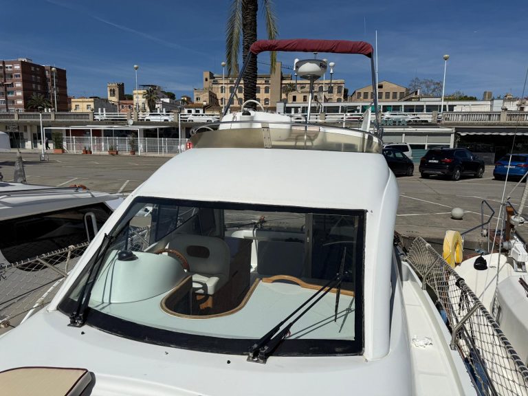 WhatsApp Image 2026-03-16 at 13.10.53 (1)