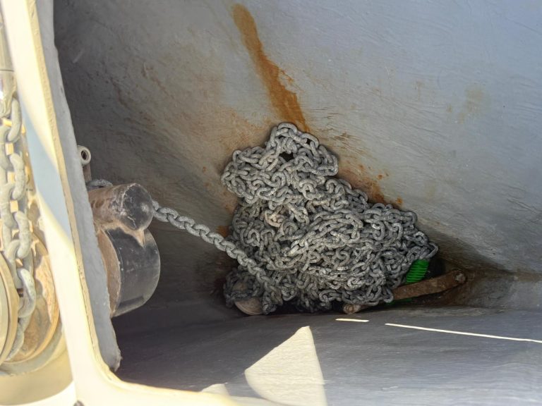 WhatsApp Image 2026-03-16 at 13.10.53 (4)