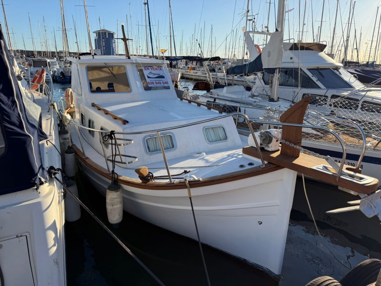 WhatsApp Image 2026-01-09 at 16.34.43