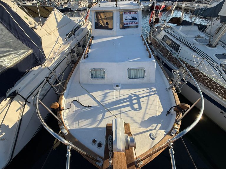 WhatsApp Image 2026-01-09 at 16.34.46