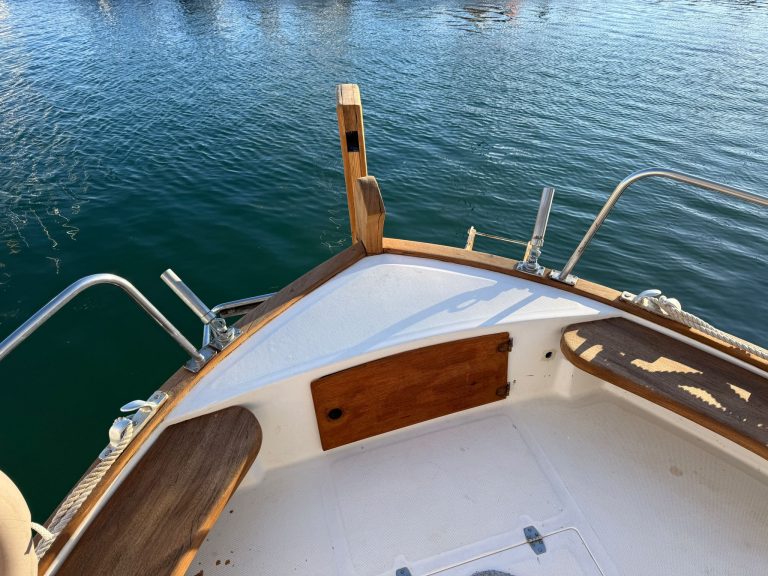 WhatsApp Image 2026-01-09 at 16.34.58