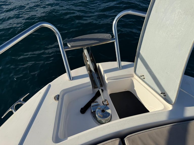 WhatsApp Image 2026-01-09 at 09.43.26 (1)