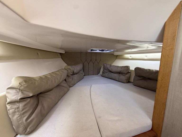 WhatsApp Image 2026-01-09 at 09.43.38