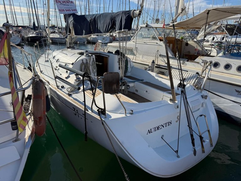 WhatsApp Image 2026-01-09 at 11.43.52