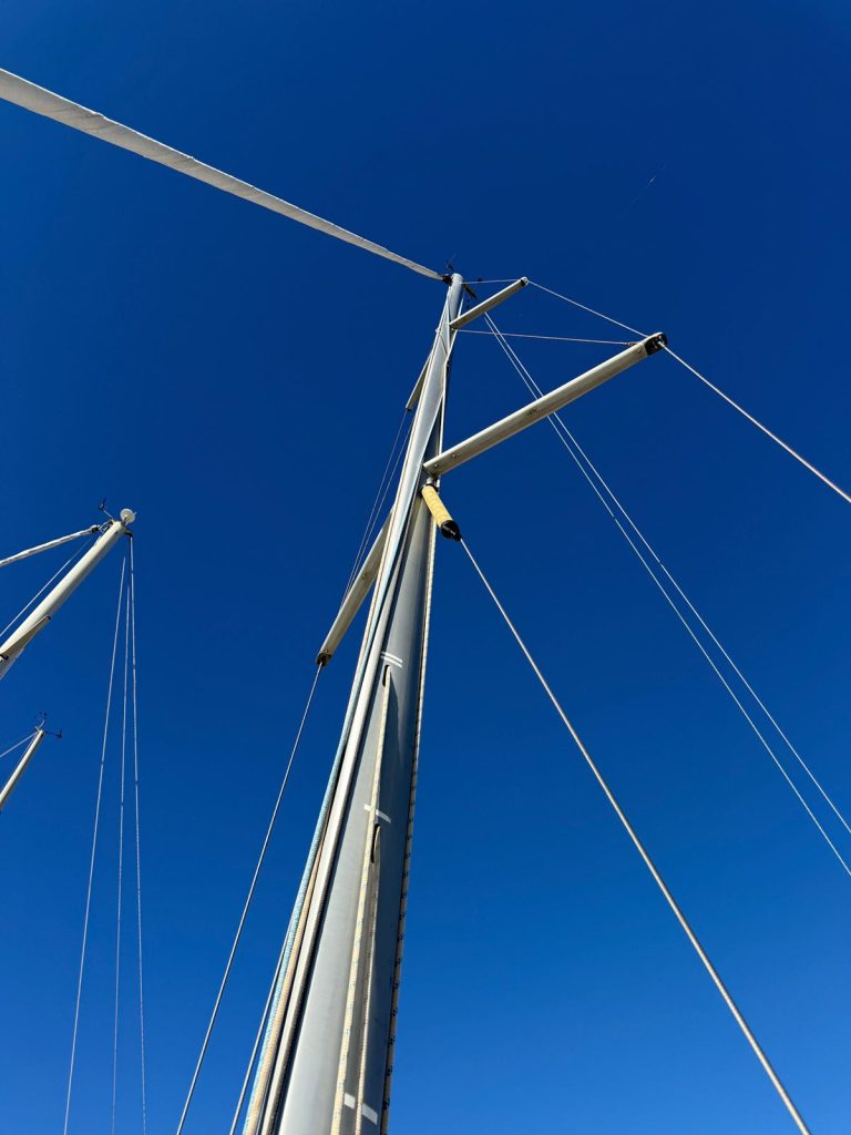 WhatsApp Image 2026-01-09 at 11.44.01 (1)