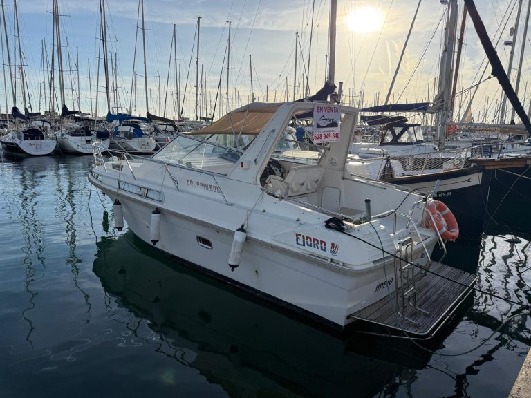 WhatsApp Image 2026-01-13 at 16.57.49