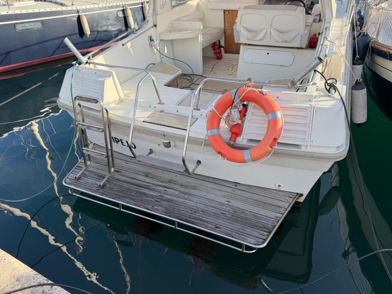 WhatsApp Image 2026-01-13 at 16.57.50