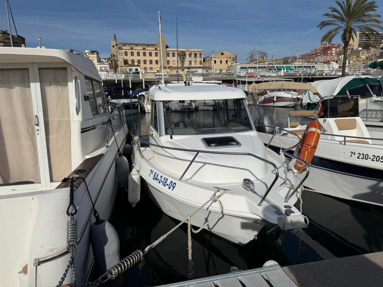 WhatsApp Image 2026-01-13 at 17.08.47 (1)