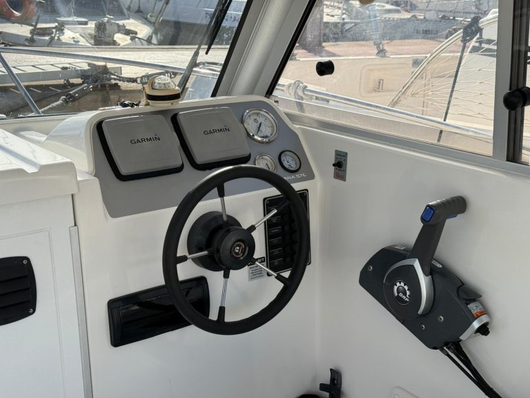 WhatsApp Image 2026-01-13 at 17.08.52 (1)