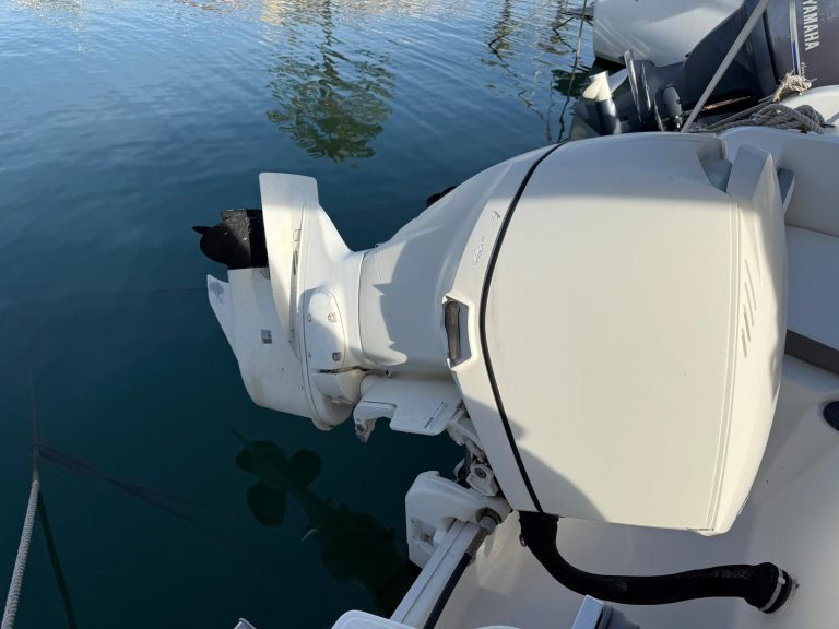 WhatsApp Image 2026-01-13 at 17.08.54 (1)