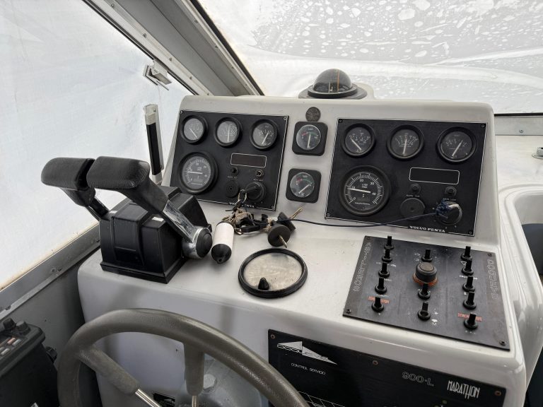 WhatsApp Image 2026-01-15 at 13.14.46