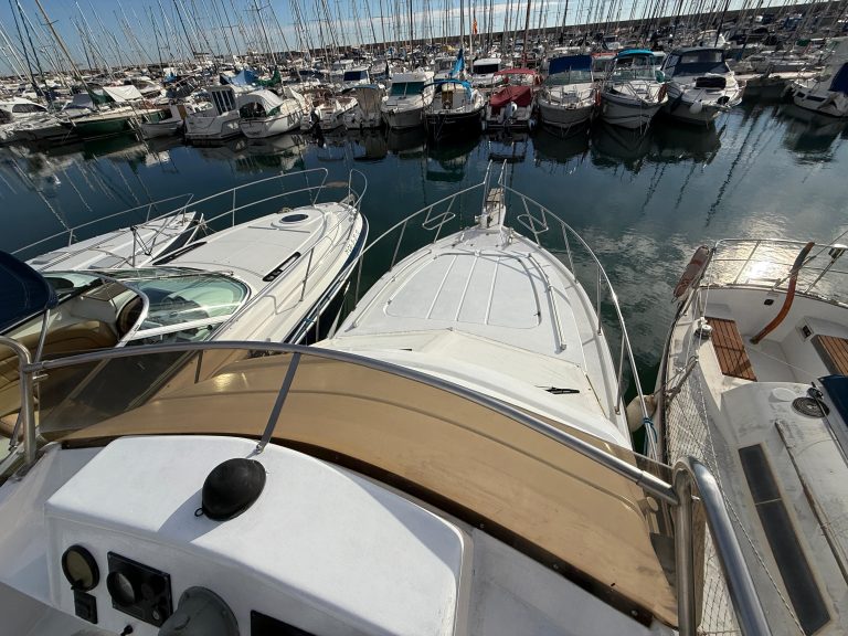 WhatsApp Image 2026-01-15 at 13.14.48 (4)