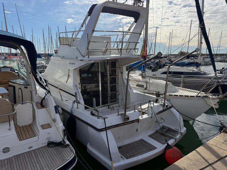 WhatsApp Image 2026-01-15 at 13.14.50