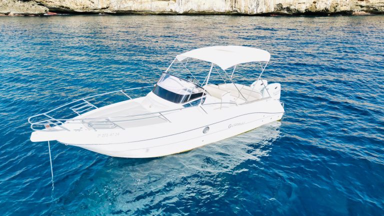 WhatsApp Image 2026-01-21 at 18.13.25