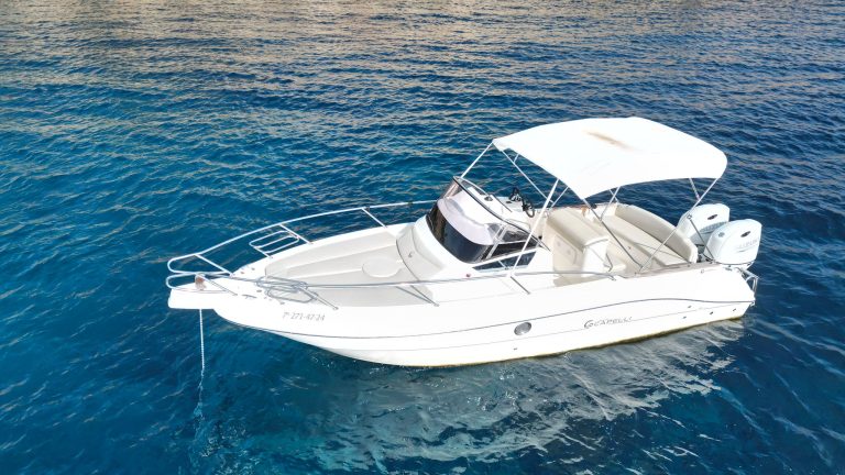 WhatsApp Image 2026-01-21 at 18.13.26 (2)