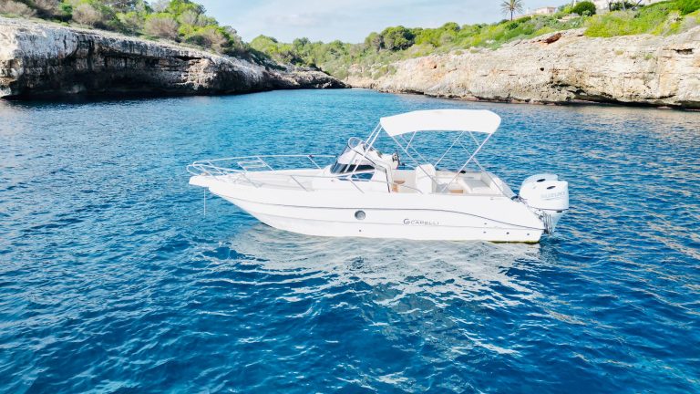 WhatsApp Image 2026-01-21 at 18.13.26