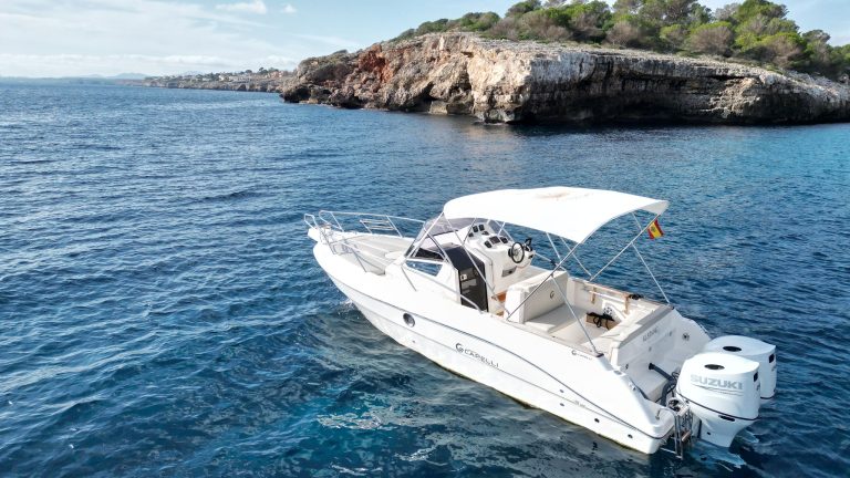 WhatsApp Image 2026-01-21 at 18.13.27 (1)