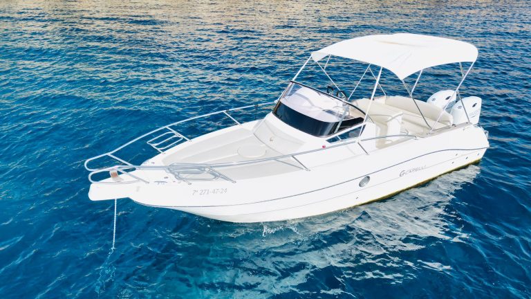 WhatsApp Image 2026-01-21 at 18.13.27 (2)