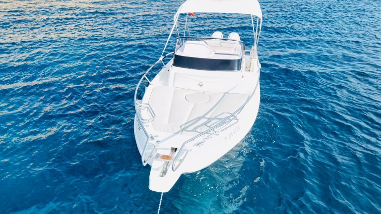 WhatsApp Image 2026-01-21 at 18.13.27