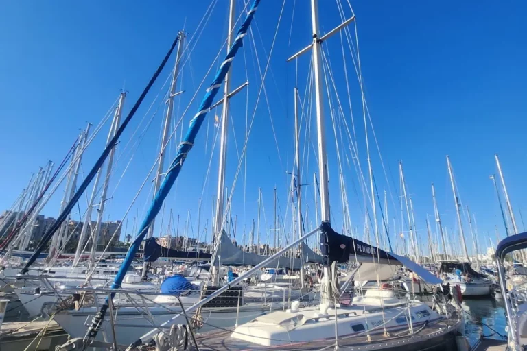 1989-rustler-36-sail-9555693-20251106021259677-11