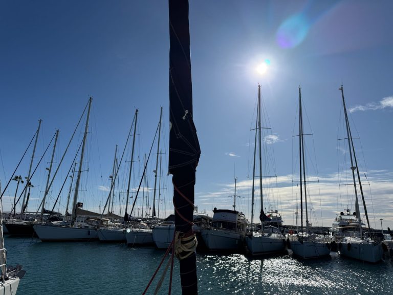 WhatsApp Image 2026-02-02 at 09.29.12 (2)