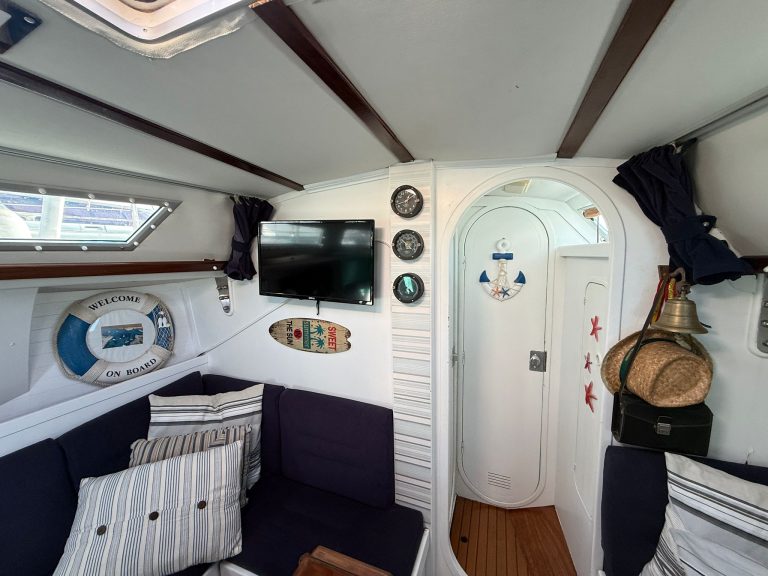 WhatsApp Image 2026-02-02 at 09.29.13