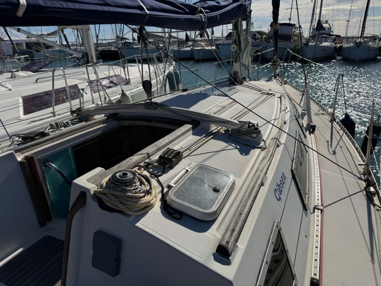 WhatsApp Image 2026-02-02 at 09.29.15 (10)