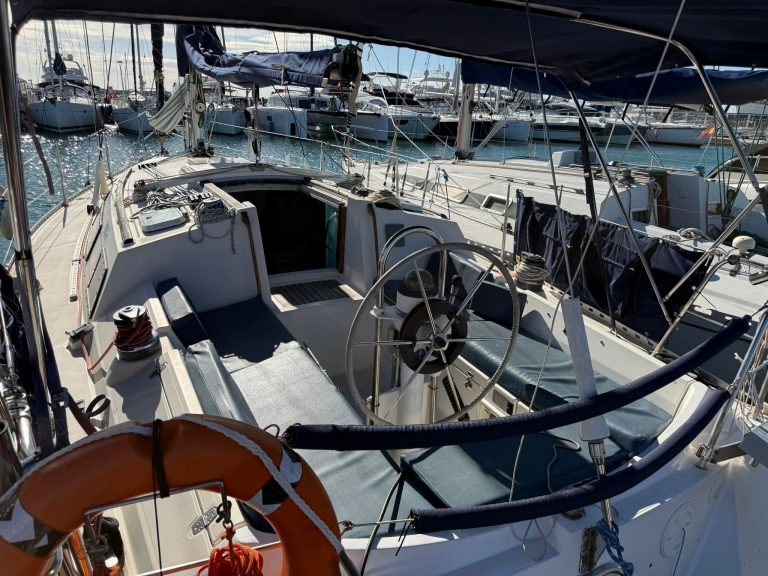 WhatsApp Image 2026-02-02 at 09.29.16