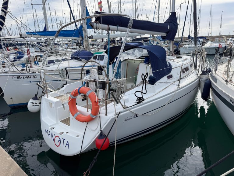 WhatsApp Image 2026-02-11 at 11.38.05