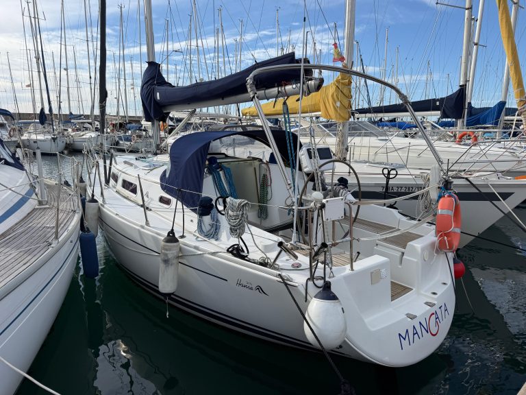 WhatsApp Image 2026-02-11 at 11.38.10