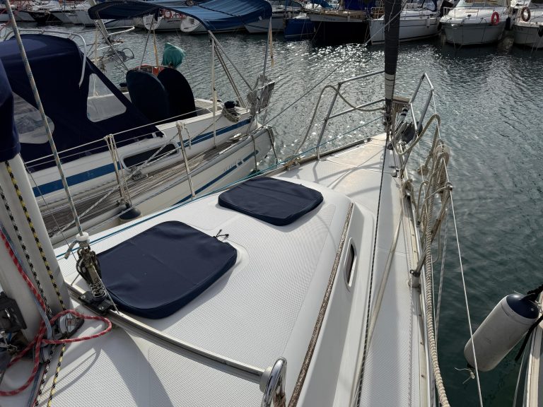 WhatsApp Image 2026-02-11 at 11.38.15 (12)