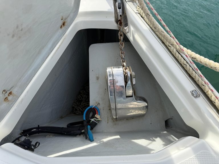 WhatsApp Image 2026-02-11 at 11.38.15 (14)