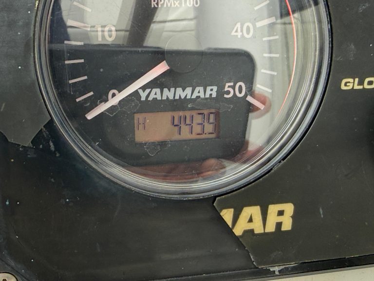 WhatsApp Image 2026-02-11 at 11.38.15 (22)