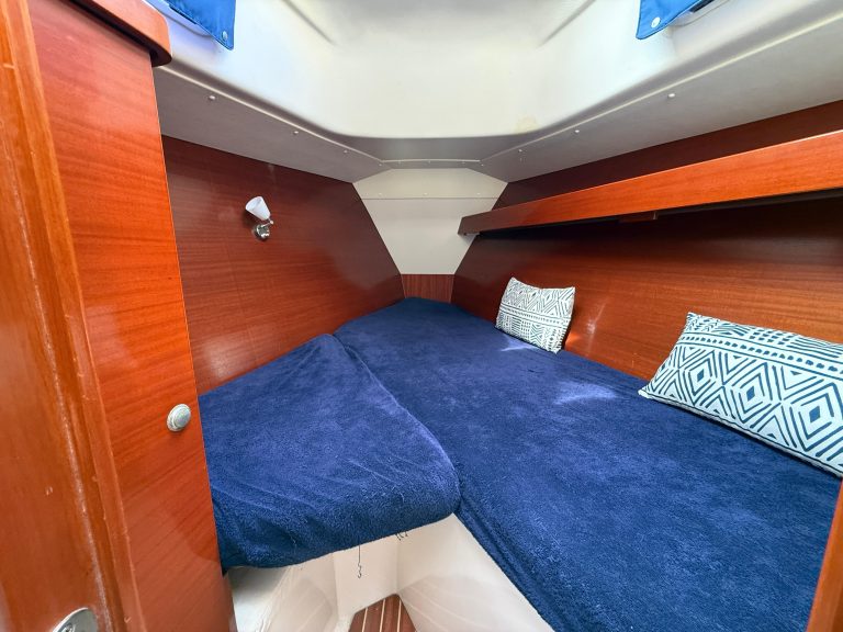 WhatsApp Image 2026-02-11 at 11.38.15 (40)