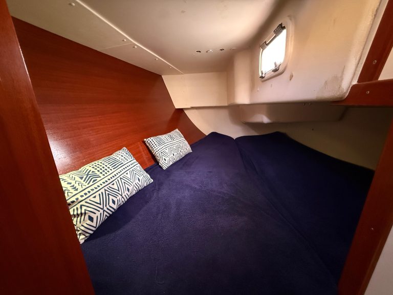 WhatsApp Image 2026-02-11 at 11.38.15 (47)