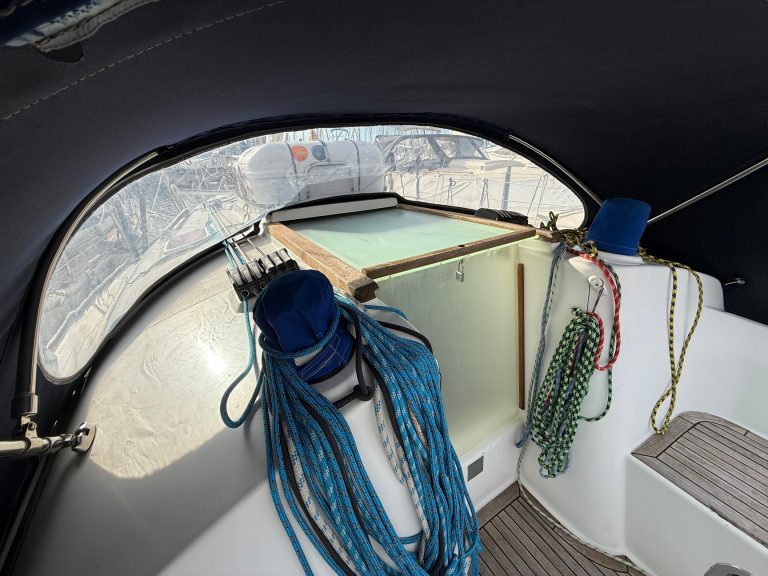 WhatsApp Image 2026-02-11 at 11.38.15 (6)