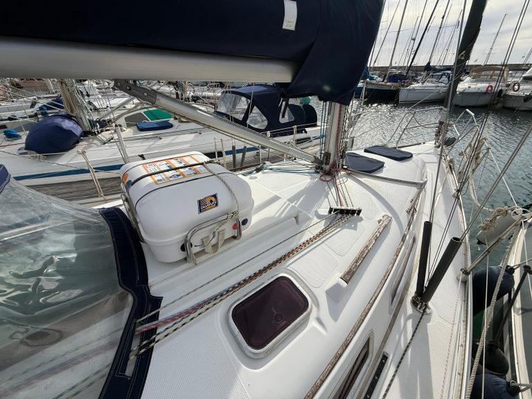 WhatsApp Image 2026-02-11 at 11.38.15 (8)