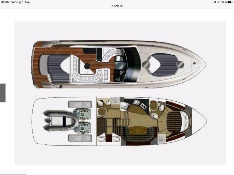 WhatsApp Image 2026-02-12 at 13.05.21