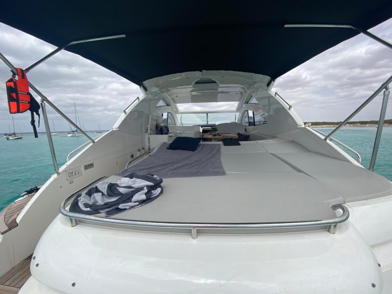 WhatsApp Image 2026-02-12 at 13.05.24 (2)