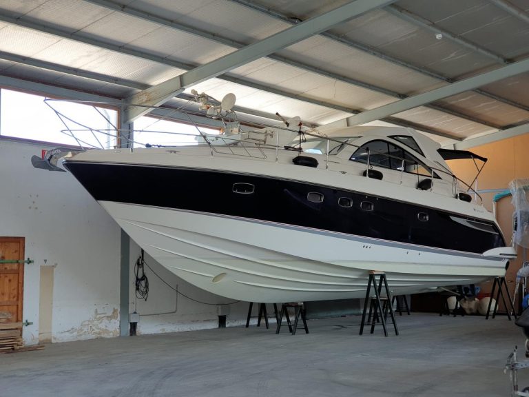 WhatsApp Image 2026-02-12 at 13.05.24