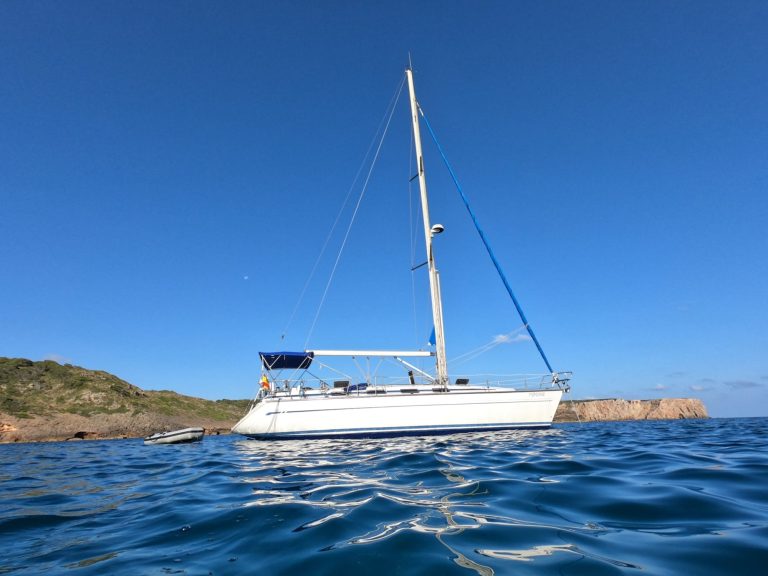 WhatsApp Image 2026-02-14 at 12.28.39