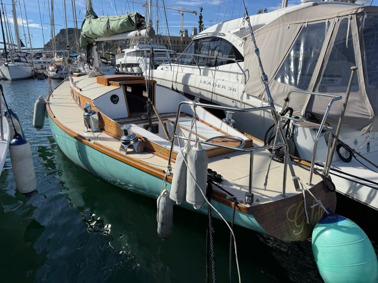 WhatsApp Image 2026-02-17 at 10.52.32