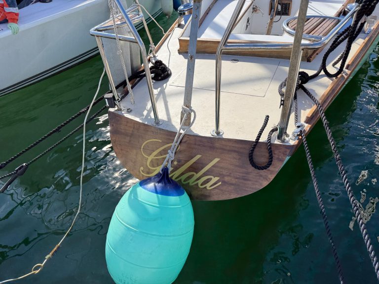 WhatsApp Image 2026-02-17 at 10.52.42 (2)