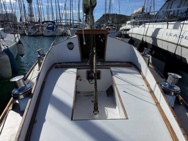 WhatsApp Image 2026-02-17 at 10.52.42 (3)